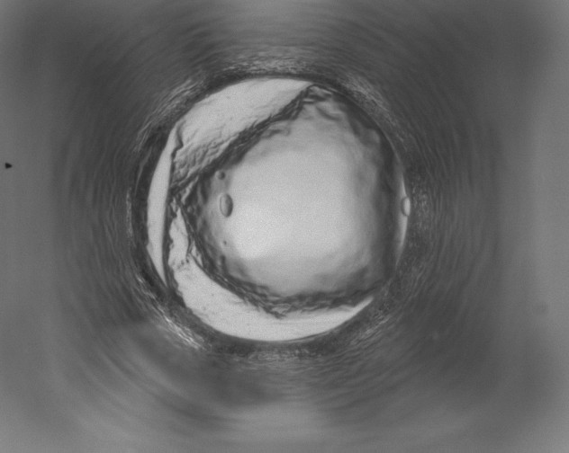X0000060240729200511241333