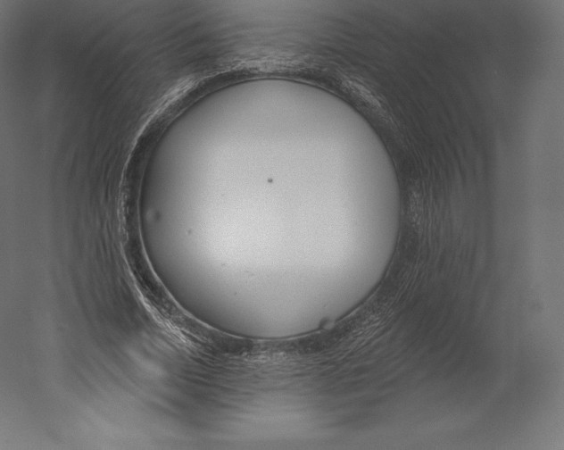 X0000060240730200511241333