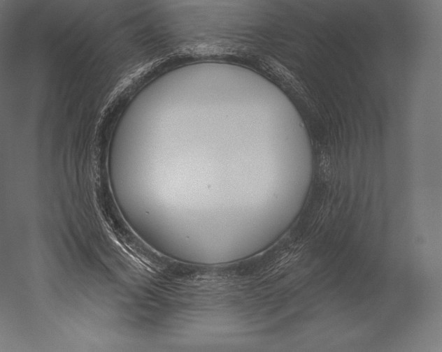 X0000060240732200511241333