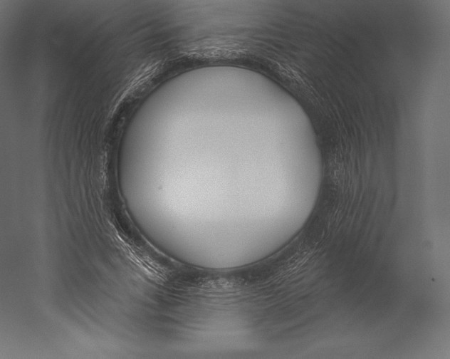 X0000060240735200511241333