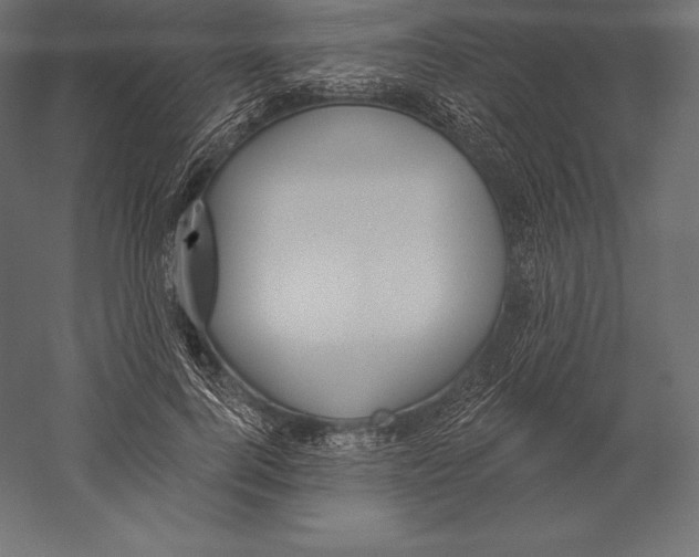 X0000060240744200511241333
