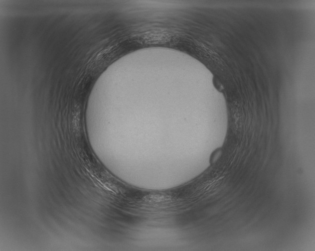 X0000060240745200511241333