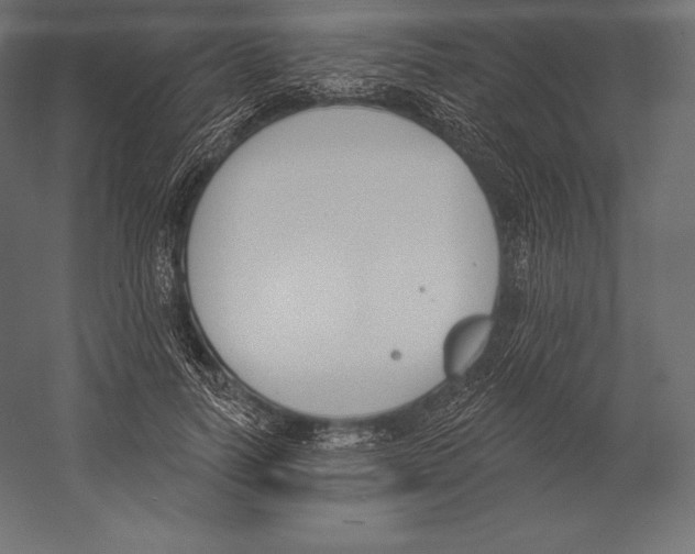 X0000060240746200511241333