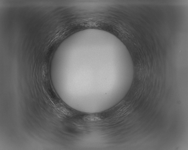 X0000060240747200511241333