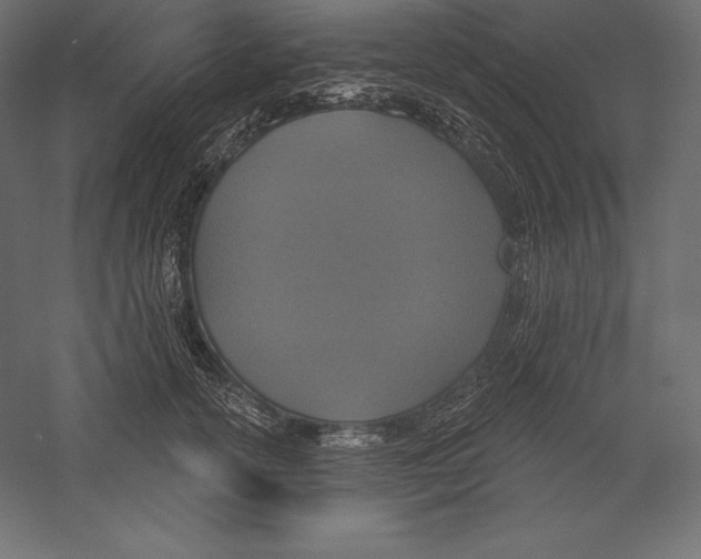 X0000060240754200511241333