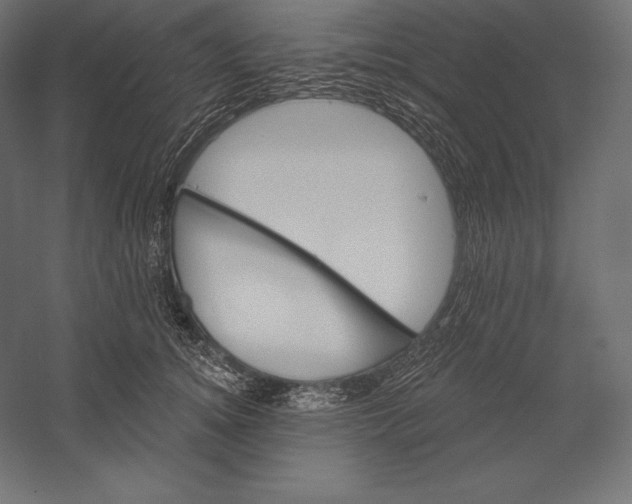 X0000060240756200511241333