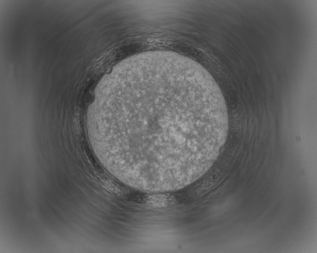 X0000060240757200511241333