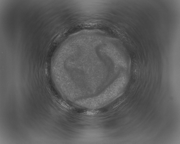 X0000060240758200511241333