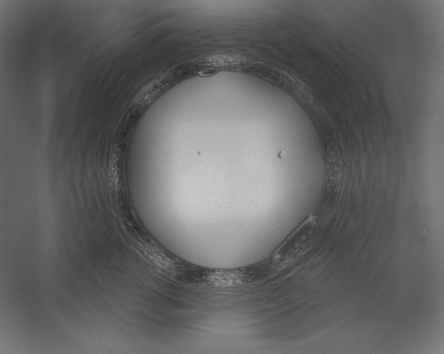 X0000060240762200511241333