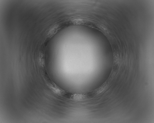X0000060240766200511241333