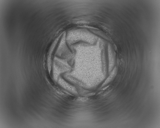 X0000060240767200511241333