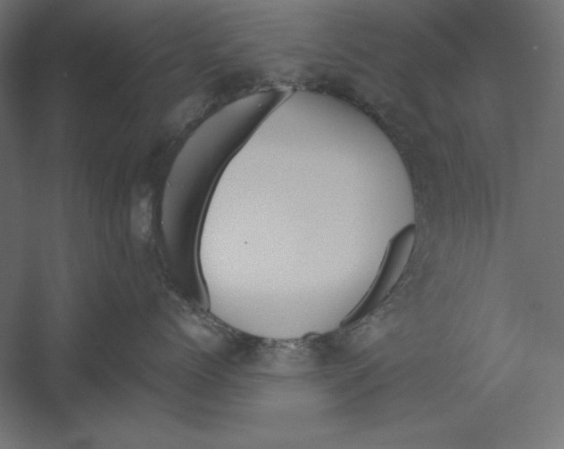 X0000060240768200511241333