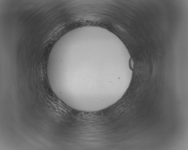 X0000060240774200511241332