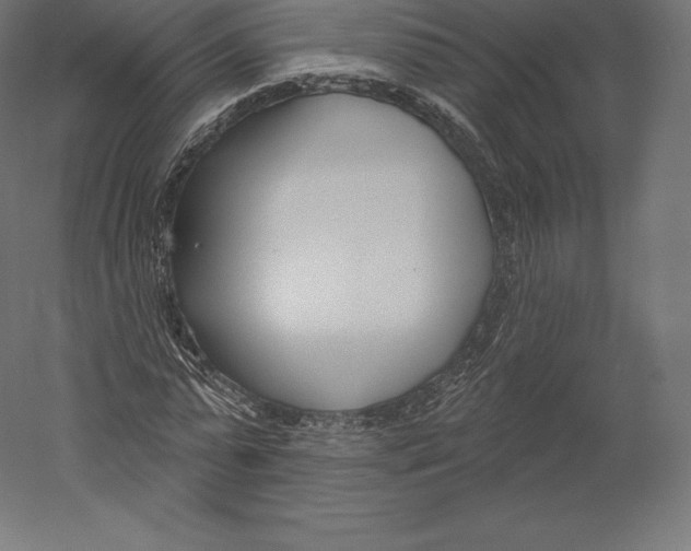 X0000060240775200511241332