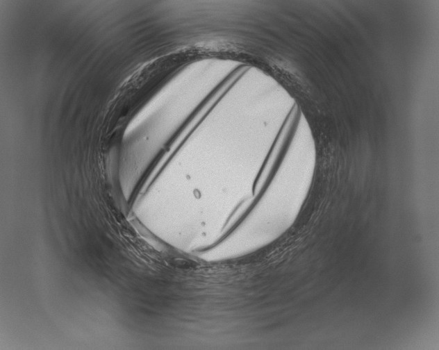 X0000060240776200511241332