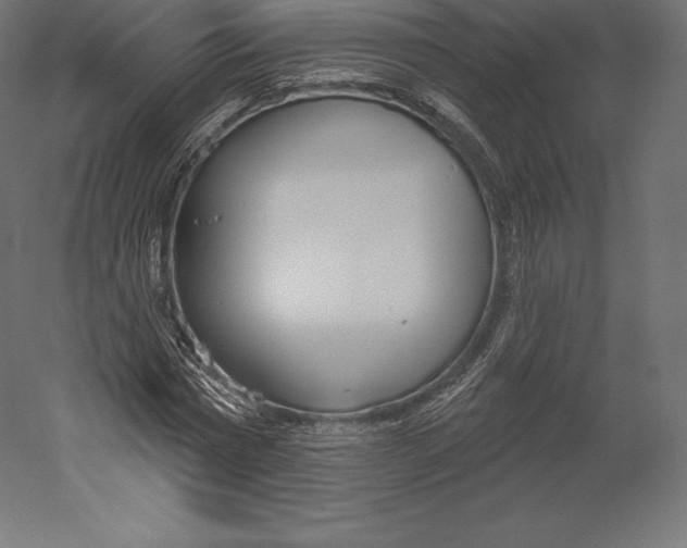 X0000060240777200511241332