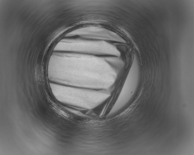 X0000060240779200511241332
