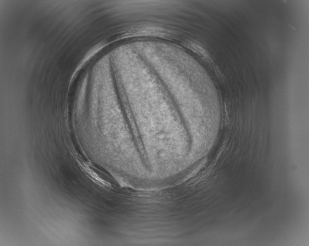 X0000060240780200511241332