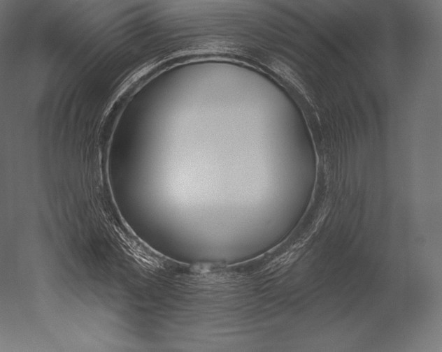 X0000060240781200511241332