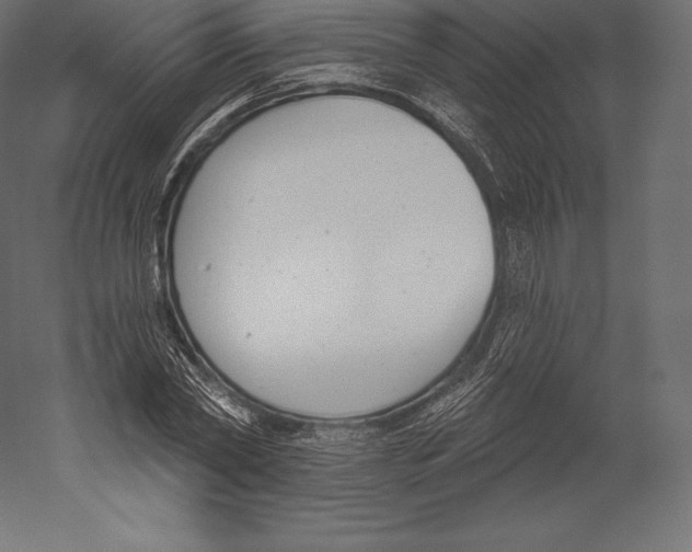 X0000060240782200511241332