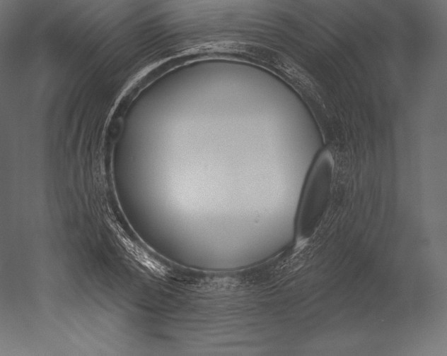 X0000060240784200511241332