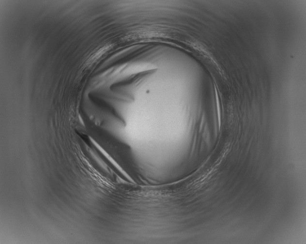 X0000060240785200511241332