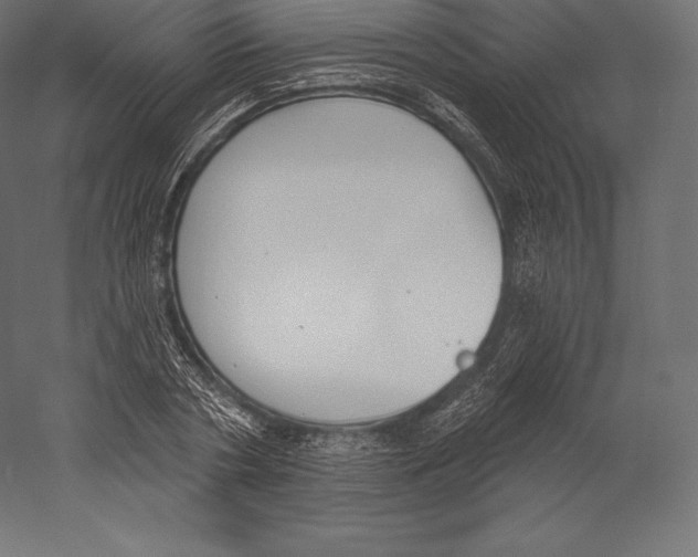 X0000060240786200511241332