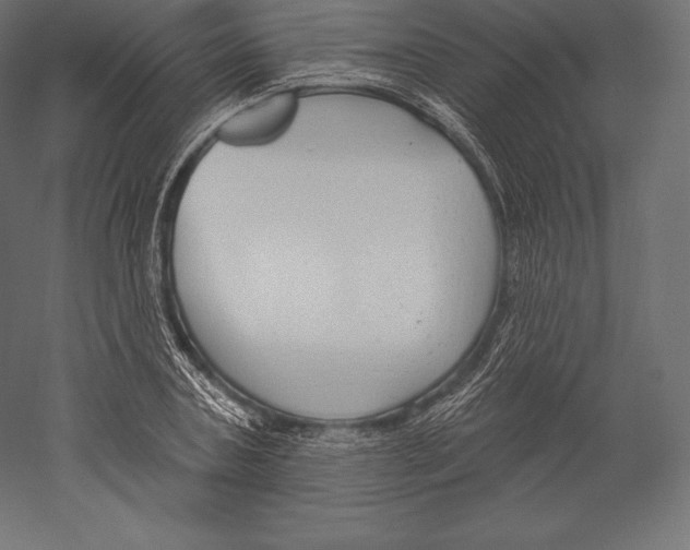 X0000060240787200511241332