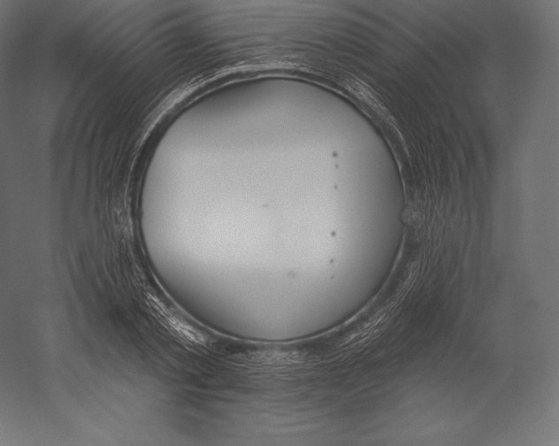 X0000060240789200511241332