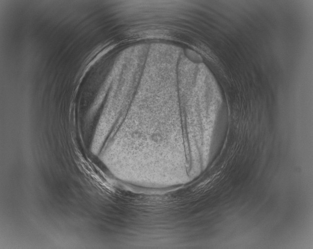 X0000060240790200511241332