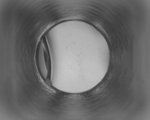 X0000060240797200511241332