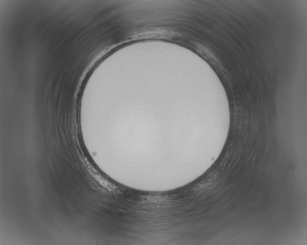 X0000060240800200511241332