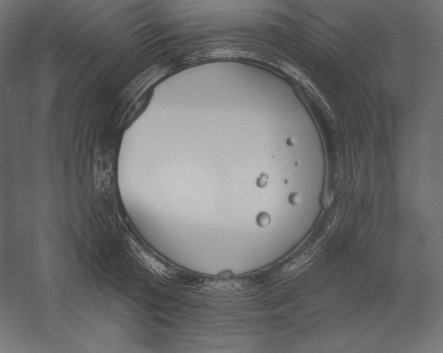 X0000060240801200511241332