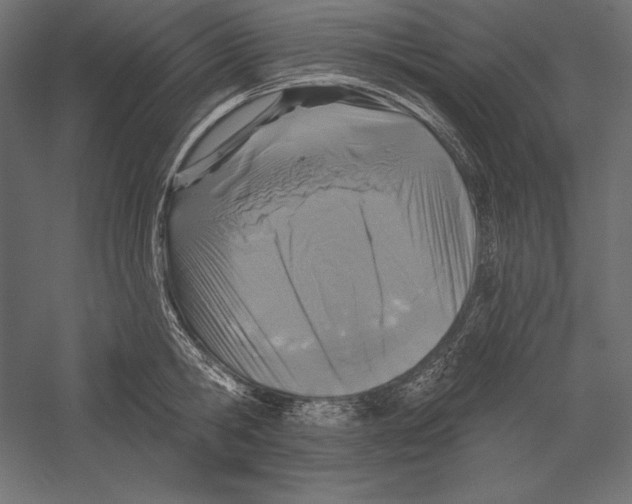 X0000060240806200511241332