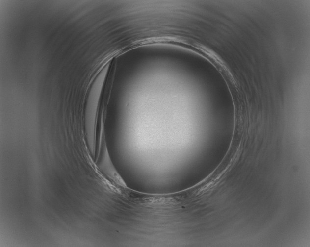 X0000060240809200511241332