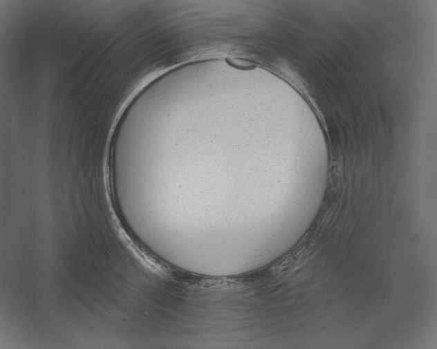X0000060240811200511241332