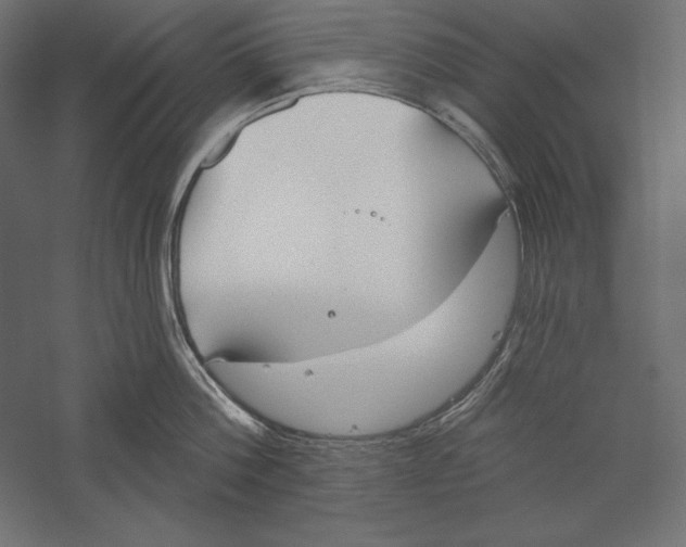 X0000060240812200511241332