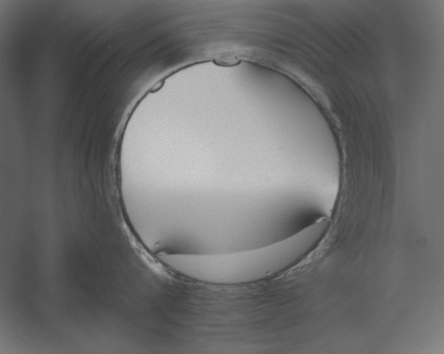 X0000060240816200511241332