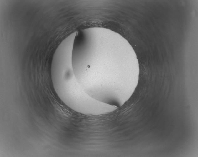 X0000060240818200511241331
