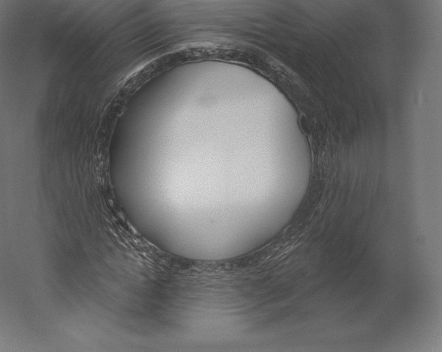 X0000060240822200511241331