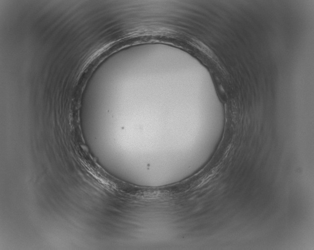 X0000060240826200511241331
