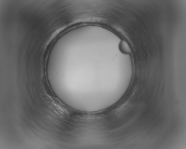 X0000060240829200511241331