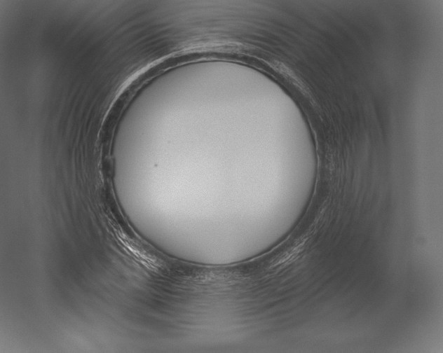 X0000060240830200511241331