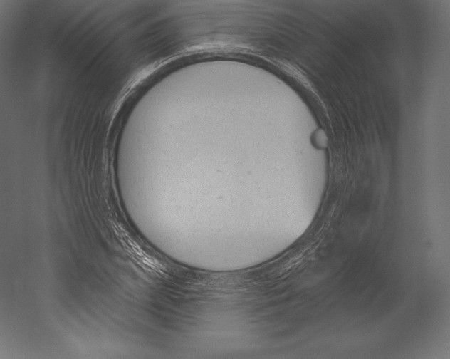 X0000060240831200511241331