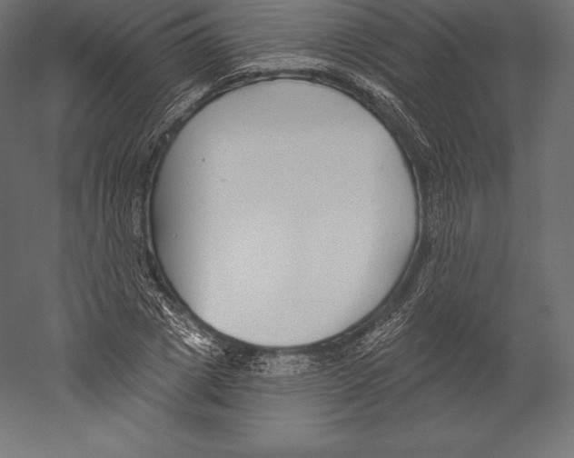 X0000060240833200511241331