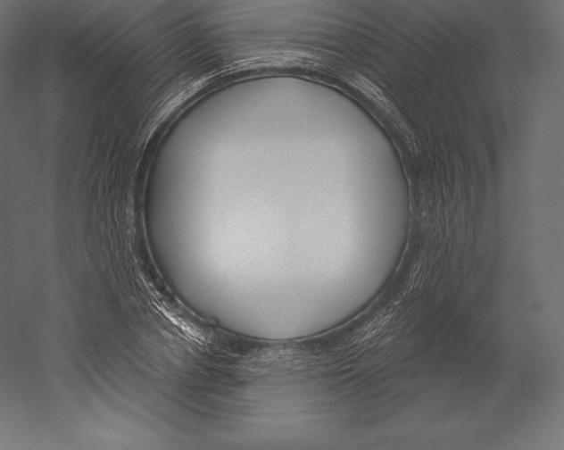 X0000060240834200511241331