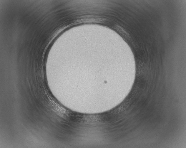 X0000060240836200511241331