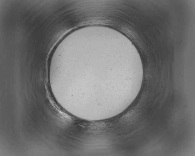 X0000060240844200511241331