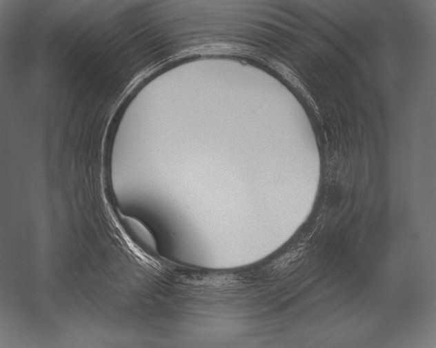 X0000060240845200511241331