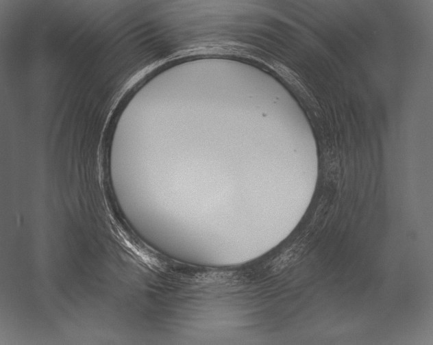 X0000060240846200511241331